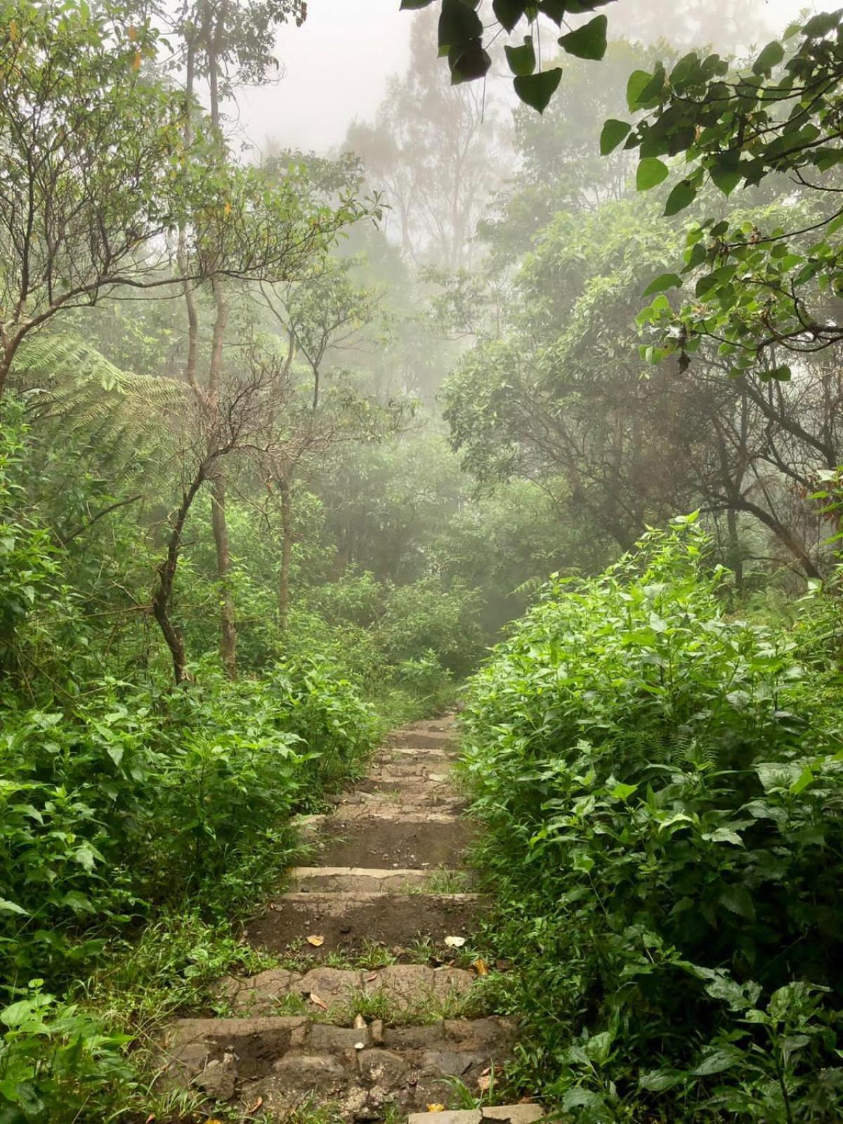 Farila Lodge Kelimutu Luaran gambar